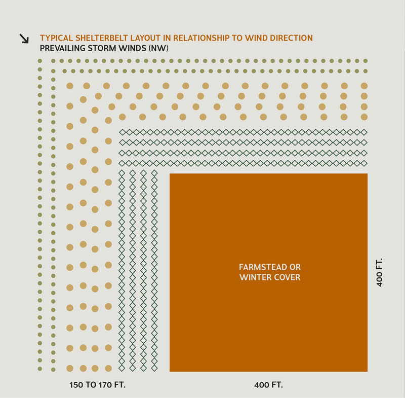ShelterBelt wind chart