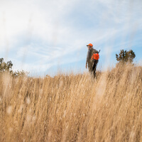 arizona-grasslands-initiative-access-inline