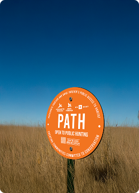 Home Programs Public Access