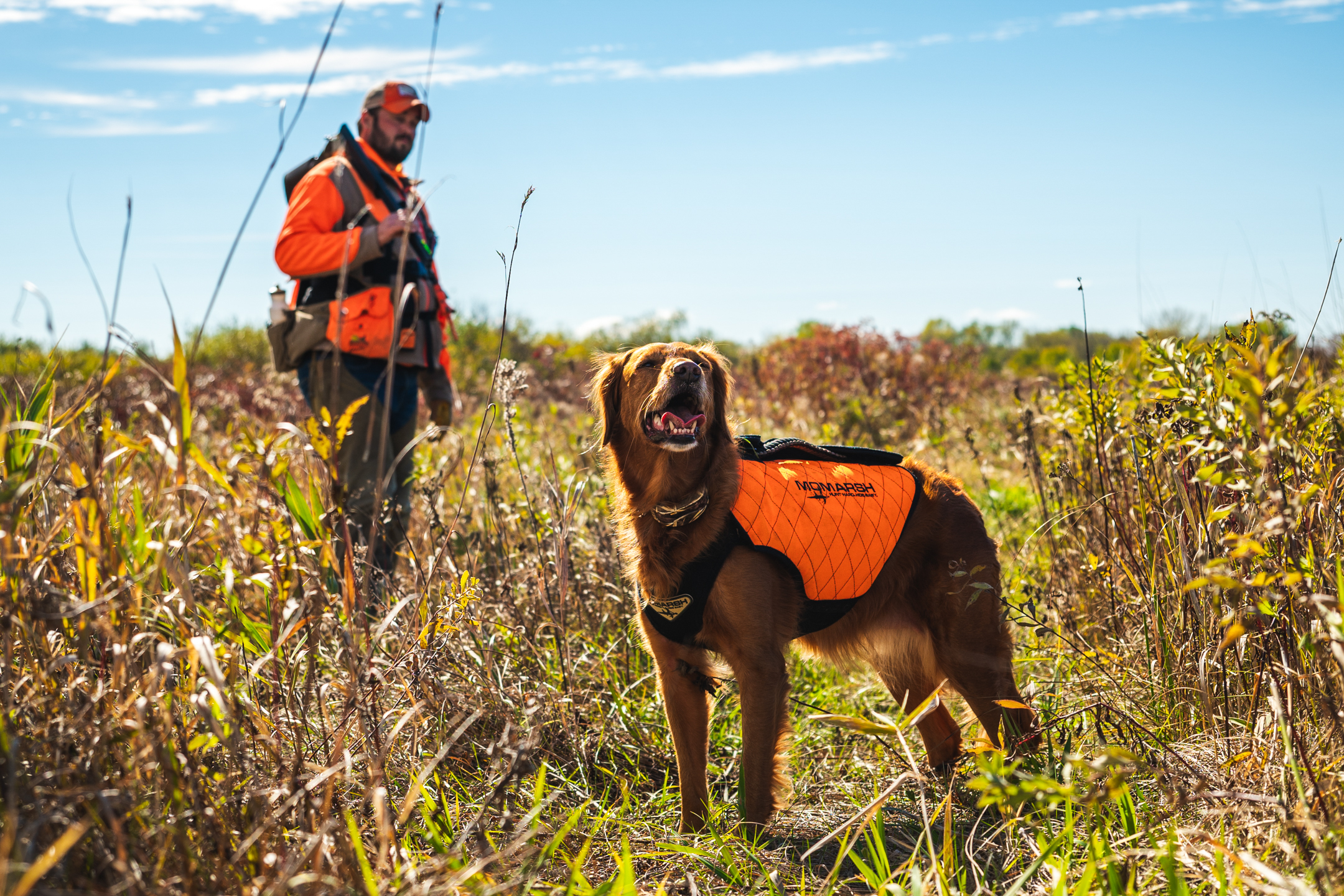 Video 18 - The dogs are great