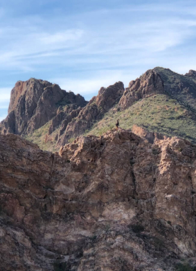 arizona-grasslands-initiative-programs-block-item