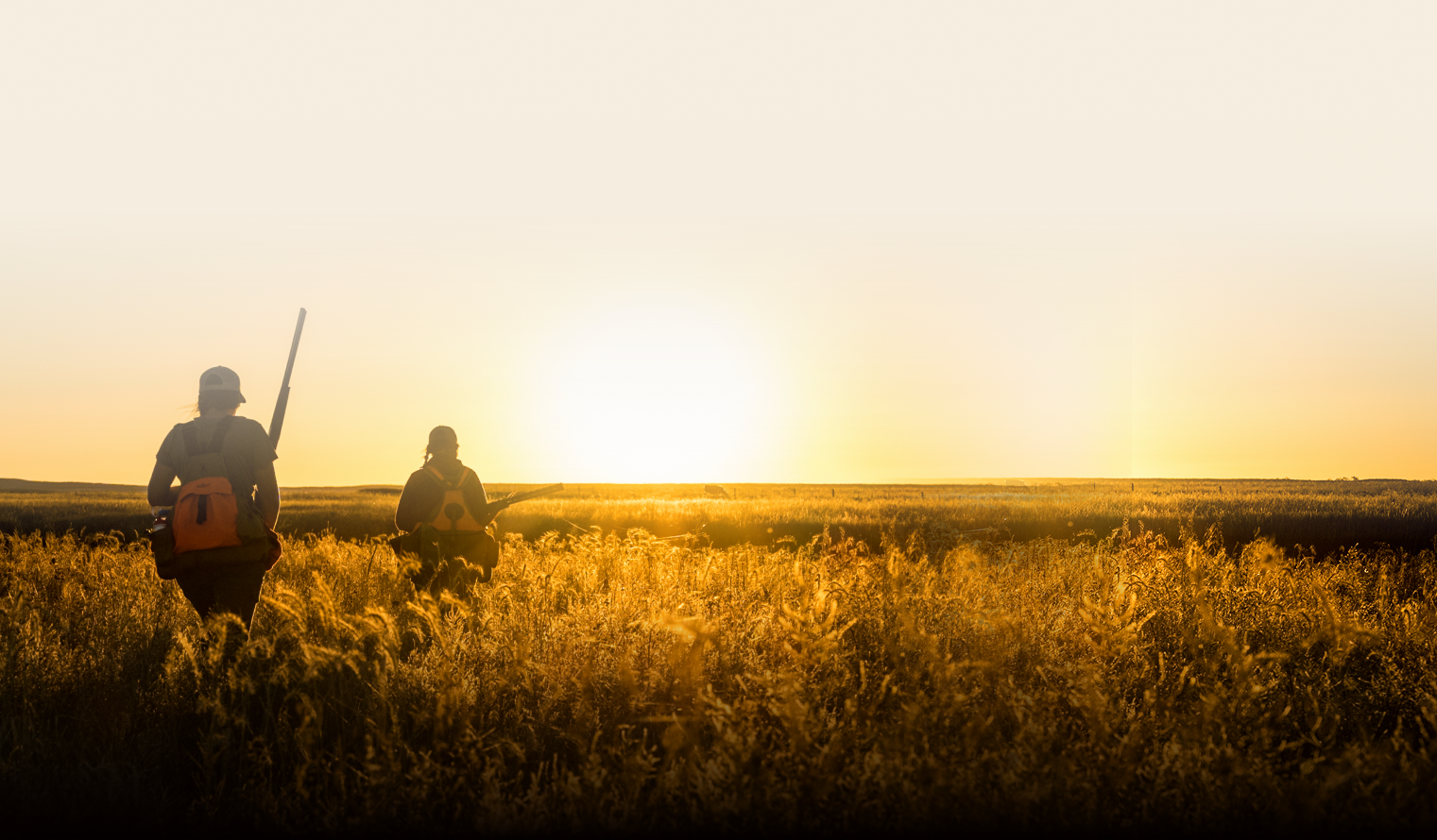 footer-pf-desktop-background