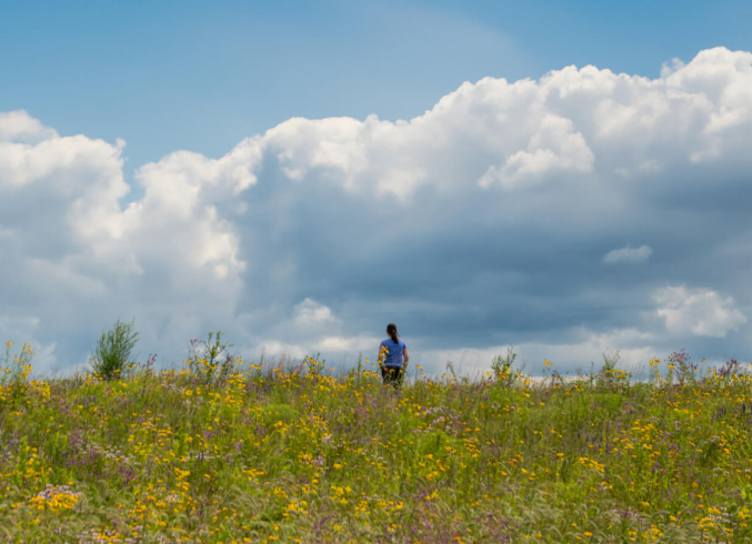 sustainability-solutions-person-field-stacked-content-item