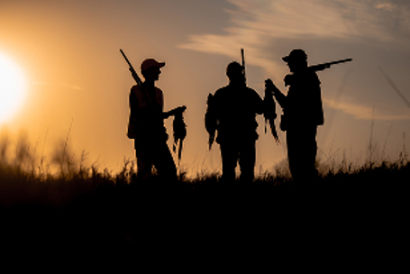 article-hunting-dog-basics-hero