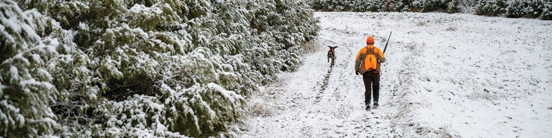 Man and dog hunting in winter landscape