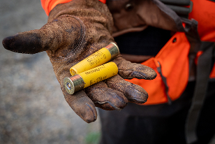 Hunting Forecast for 2025 v2