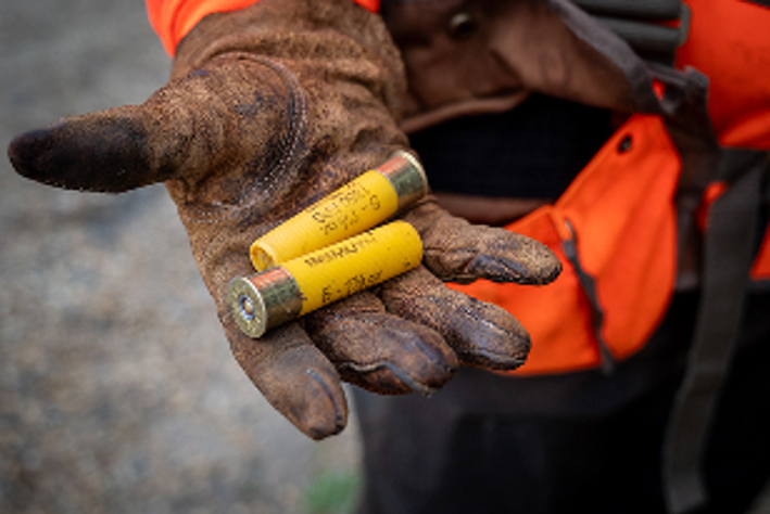 article-hunting-forecast-2-2025-hero