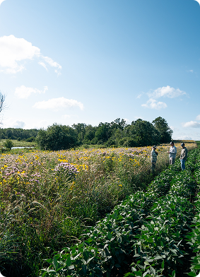 Home Programs Private Land