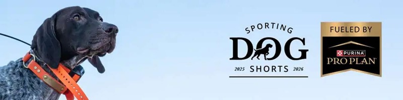 bird-dog-sporting-dog-shorts-footer